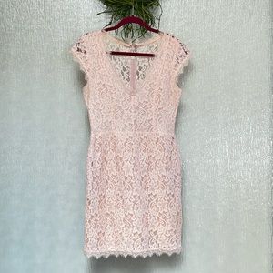 Babaton Blush Lace Dress